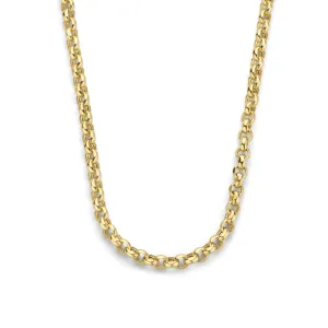 Aidee Pauline 14 karat gold necklace with chains